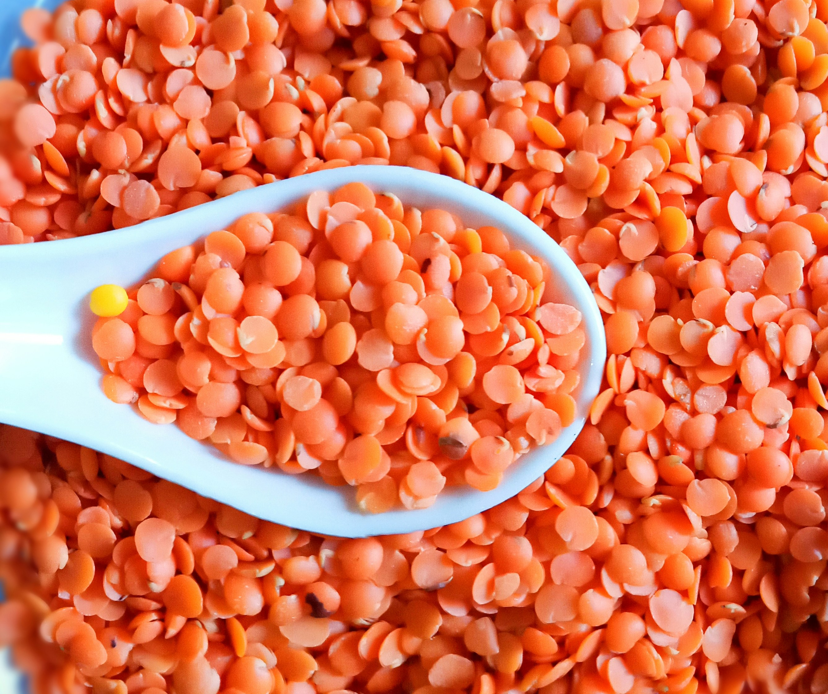 Lentils    amna-shoukat-maqn9r9-fik-unsplash.jpg