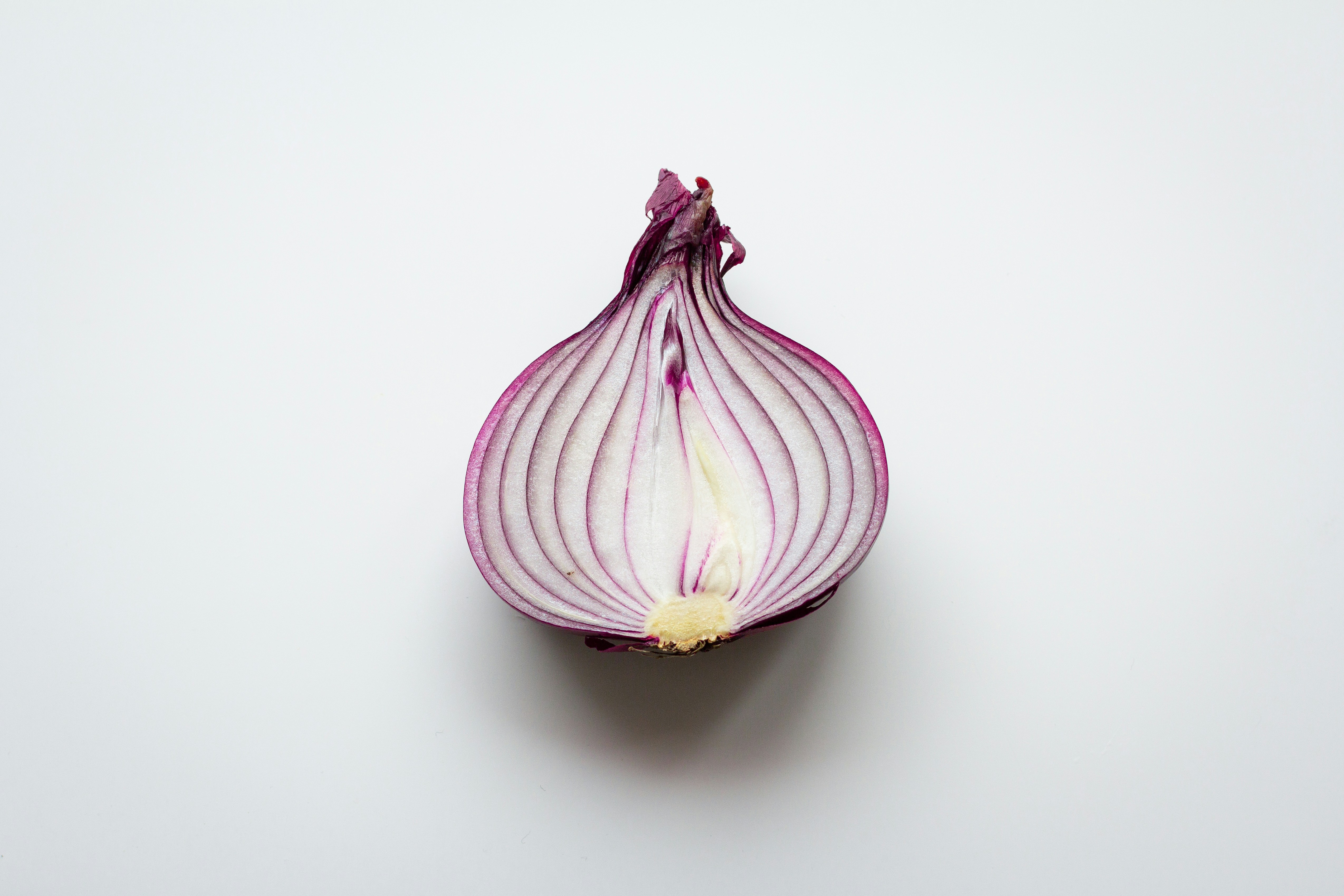Onion   k8-0_fkphulv-m-unsplash.jpg