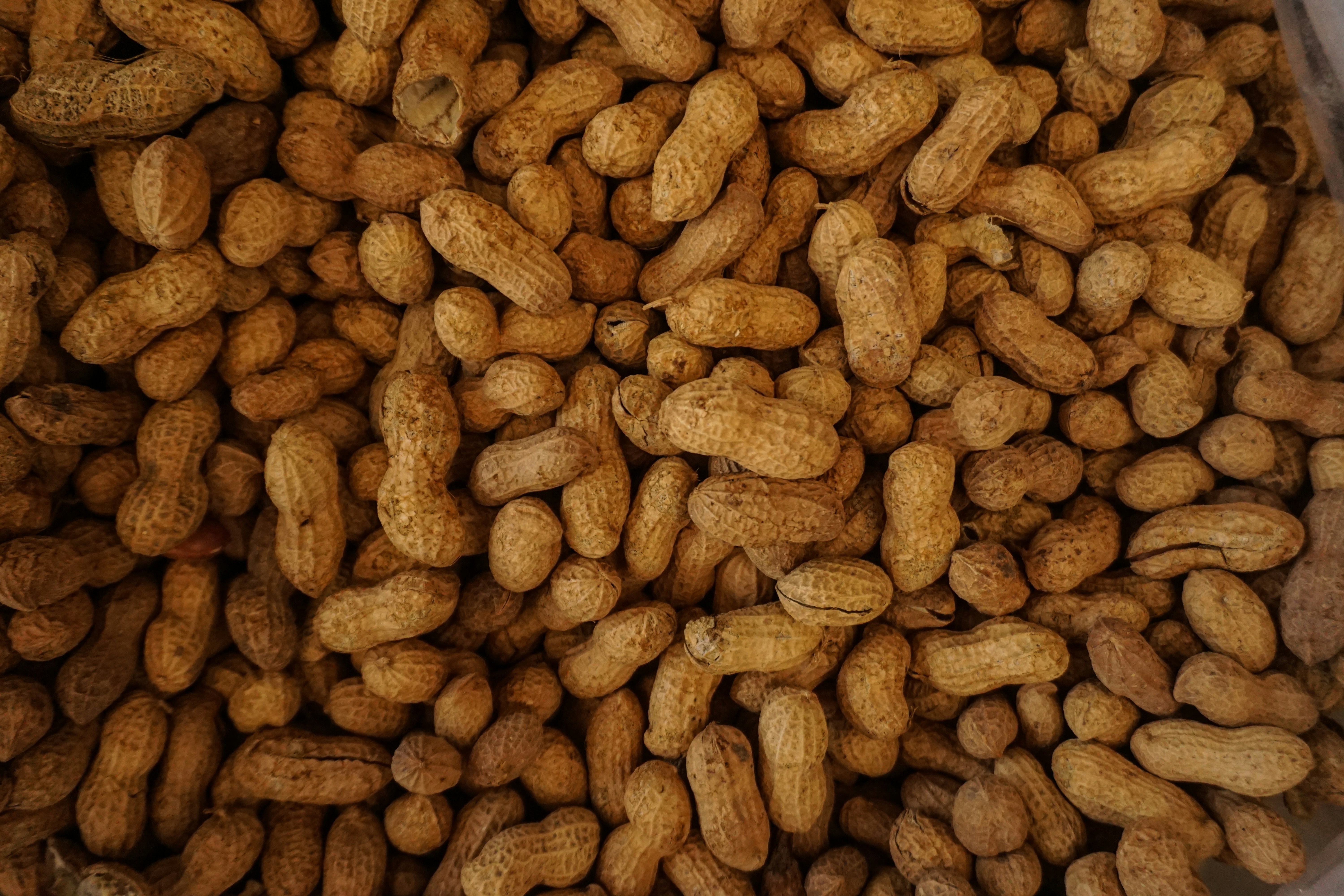 Peanuts     tom-hermans-zpfd3zoboc0-unsplash.jpg