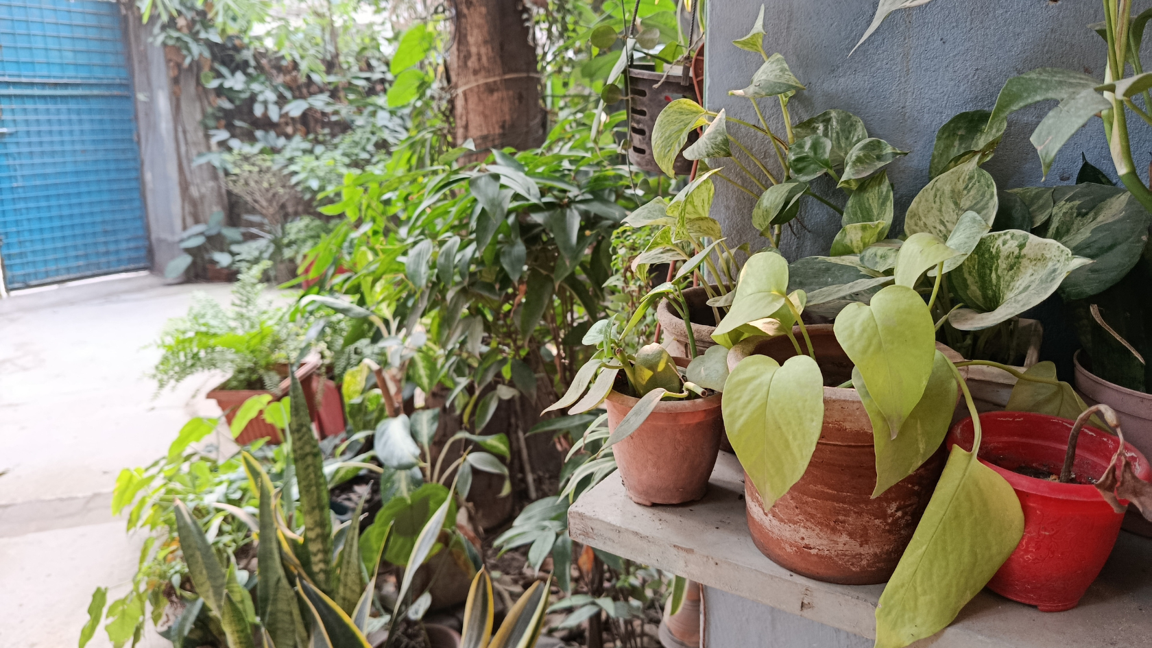 redmi_note_14_photos_3.png