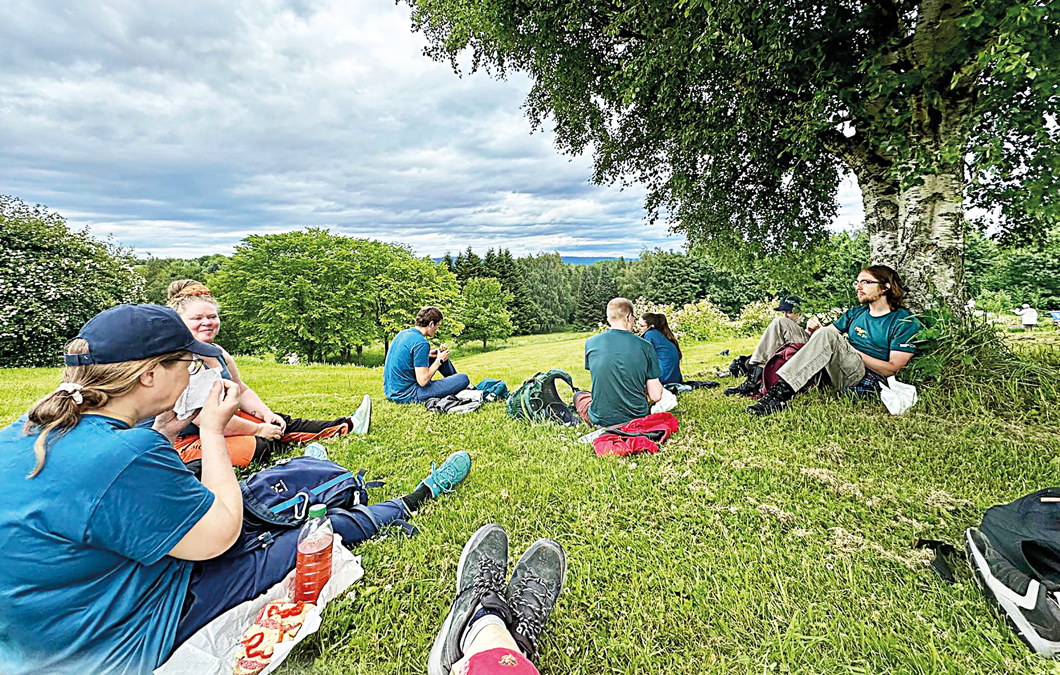 nordic-summer.jpg