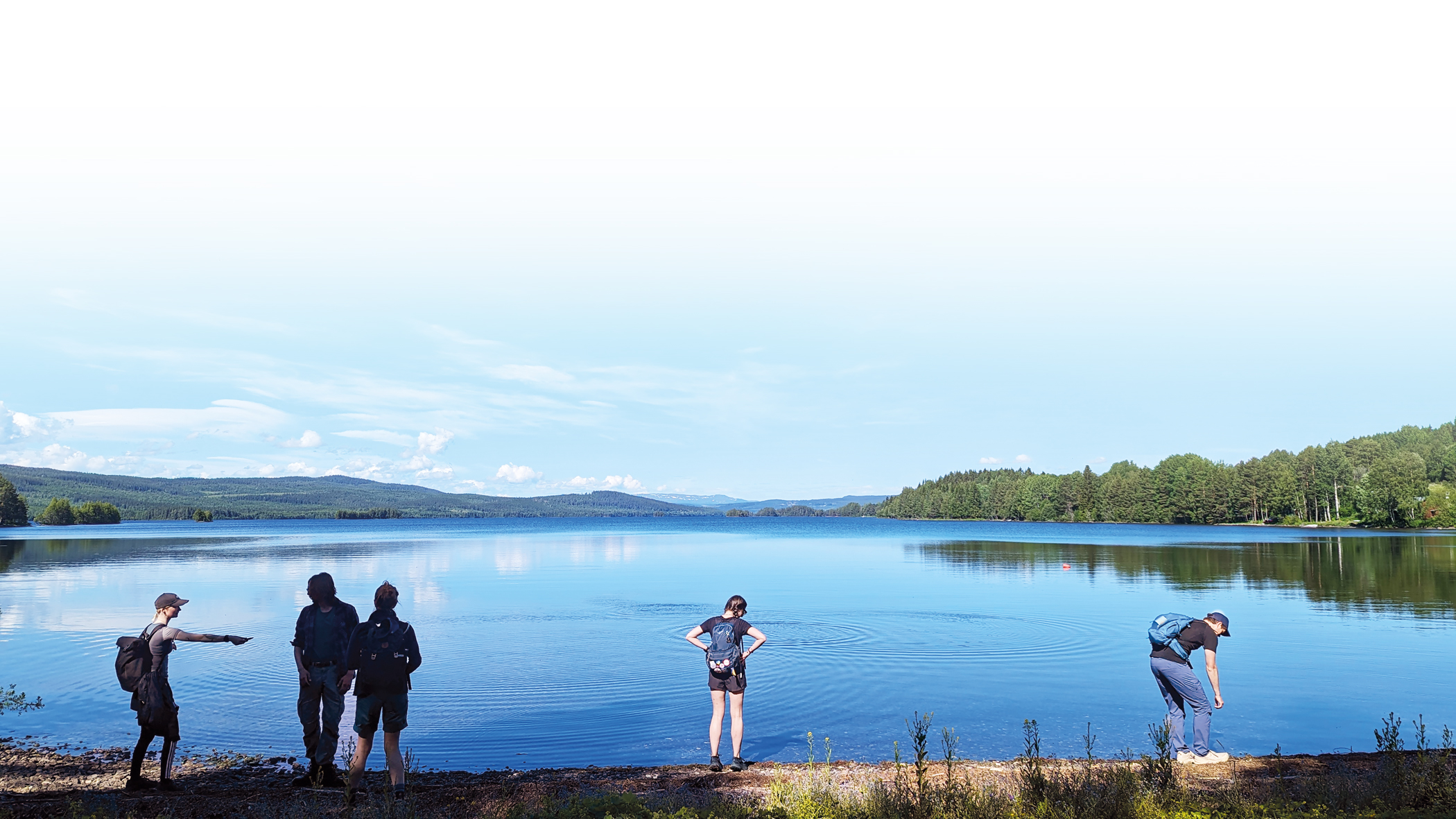 nordic-summer4.jpg