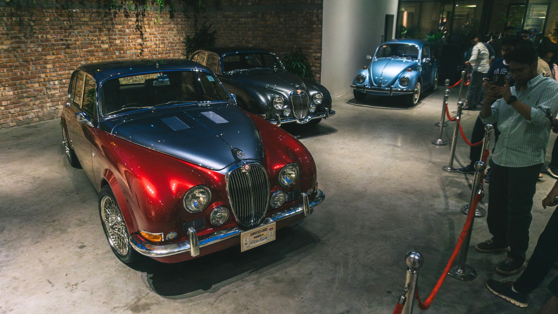 curated_cars_-_nafirul_10.png
