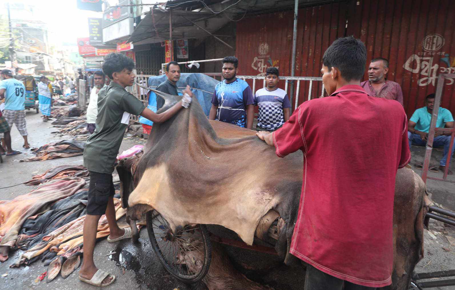 Rawhide market disappoints again as prices drop below govt-fixed rates 