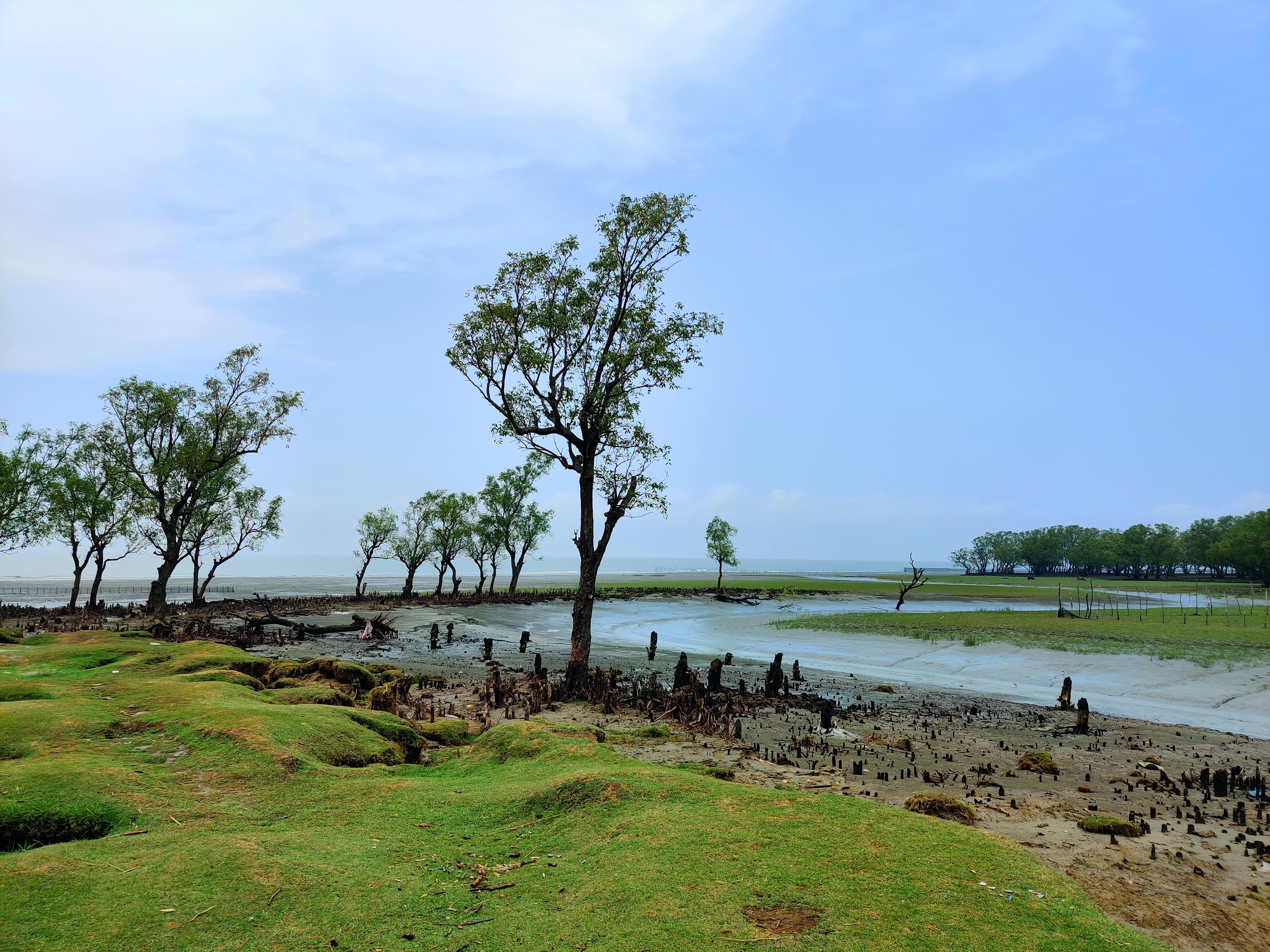 Guliakhali Sea Beach: A harmony of waves and green