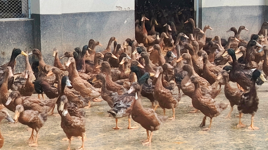 Will our remittance warriors get government support to fulfil their entrepreneurial dreams?