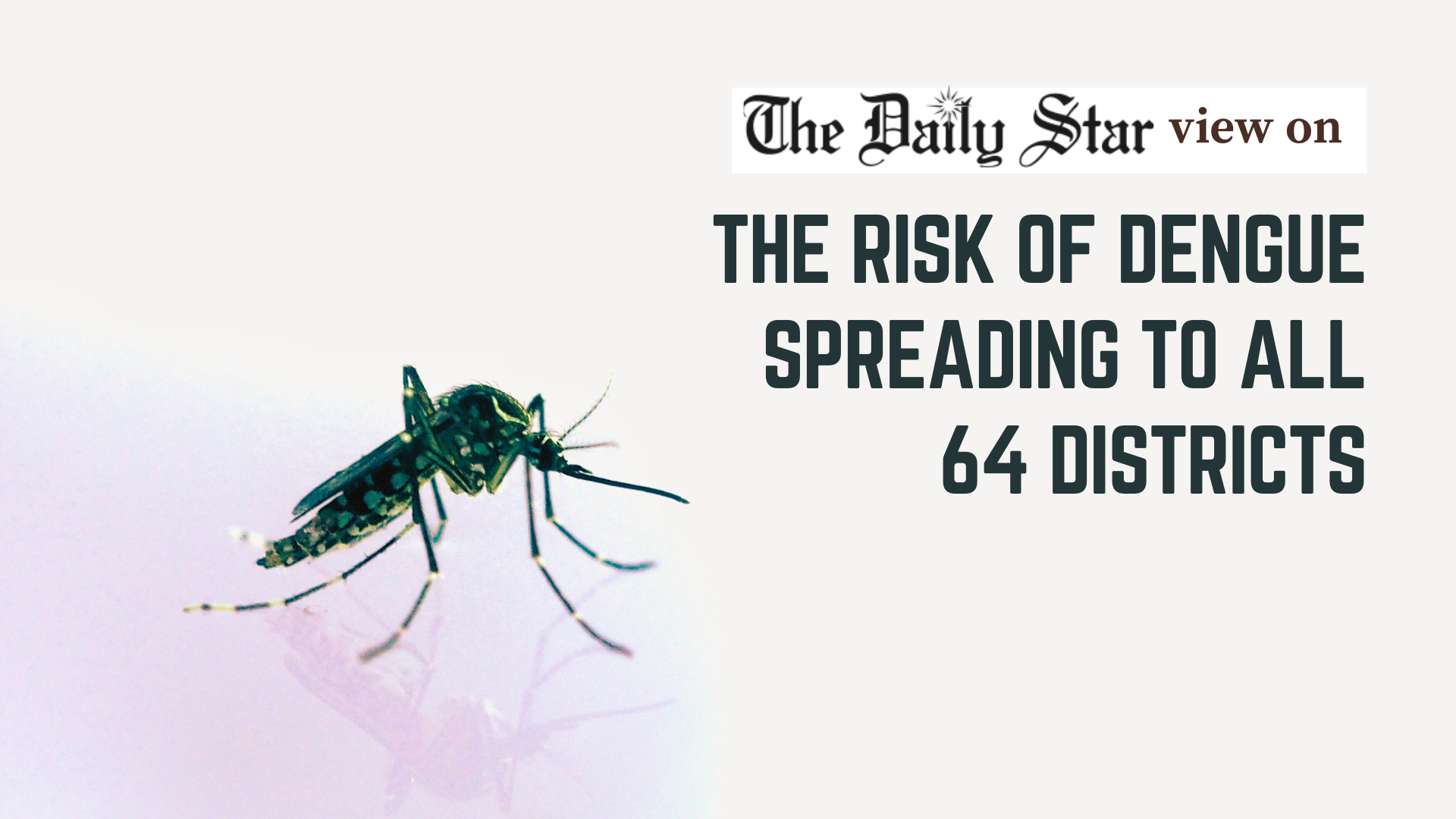Contain dengue spread outside Dhaka