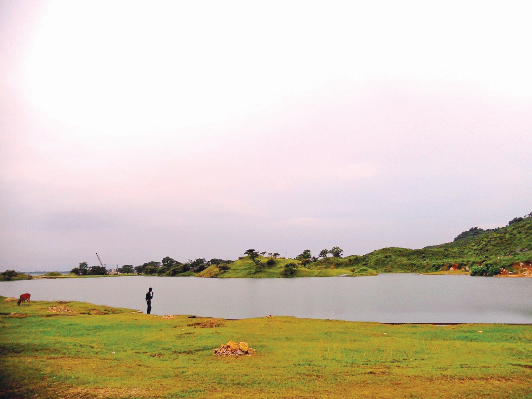 Ratargul and rain: A monsoon tale in motion