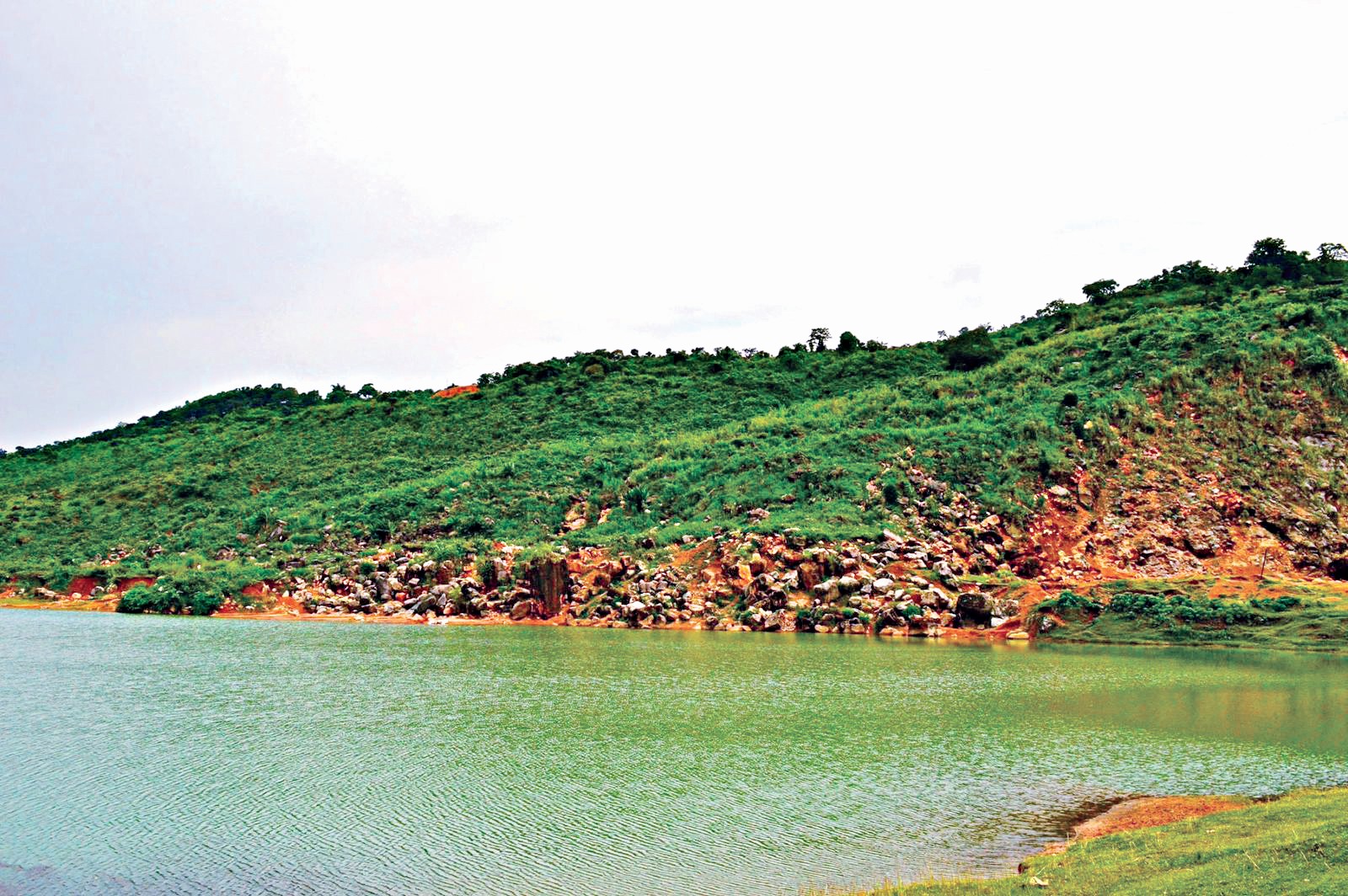 Ratargul and rain: A monsoon tale in motion