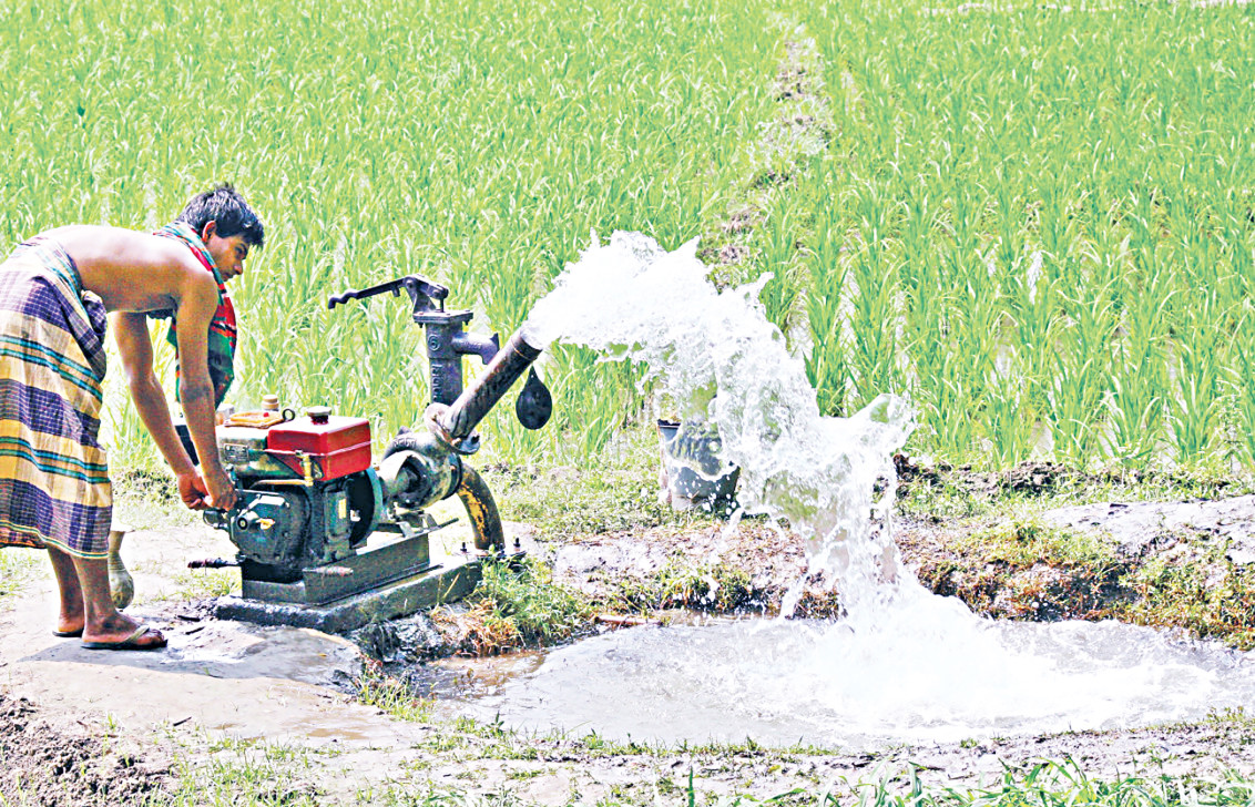 Transforming Bangladesh's agricultural policies for future economic success