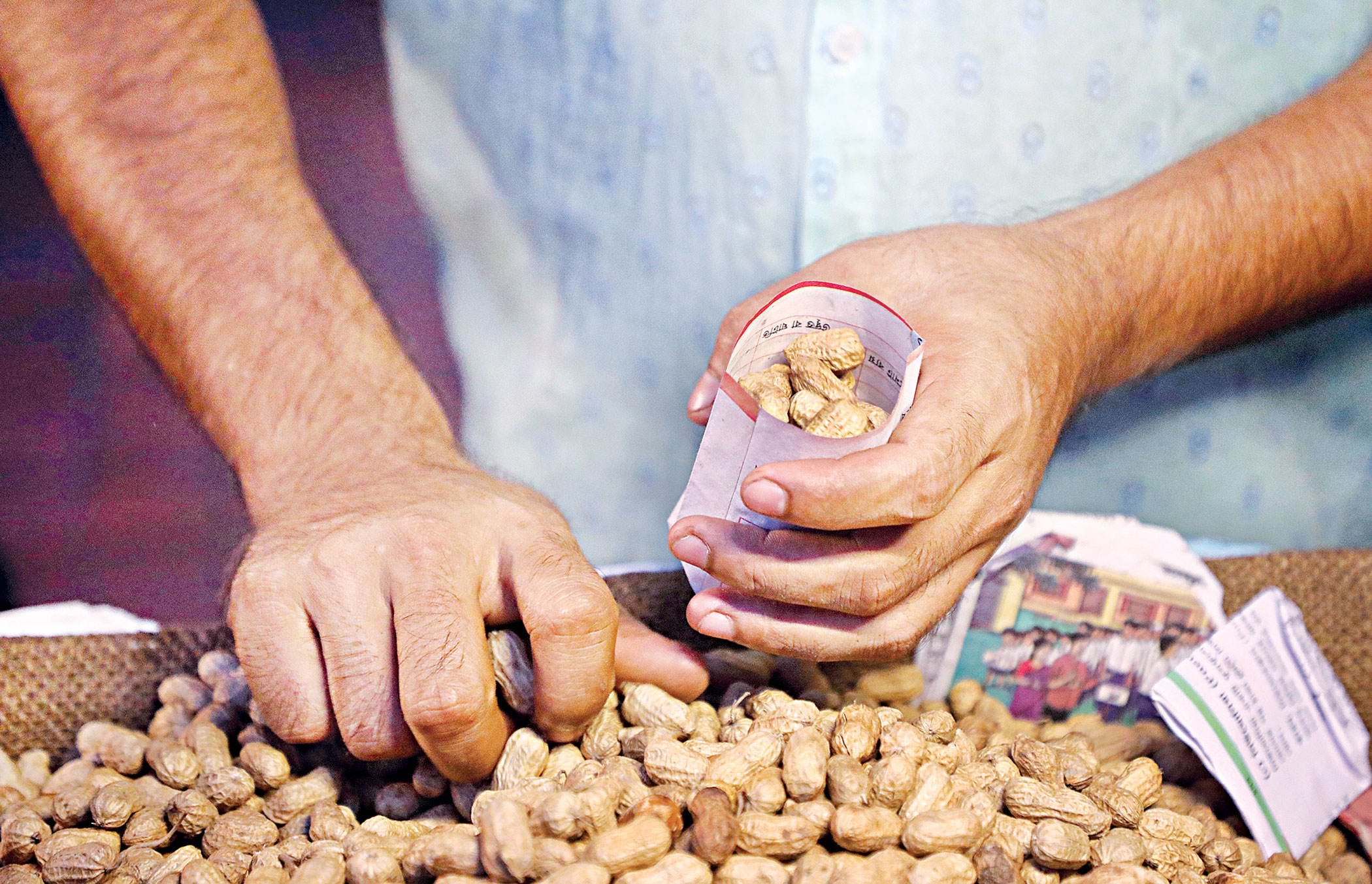 peanut.jpg