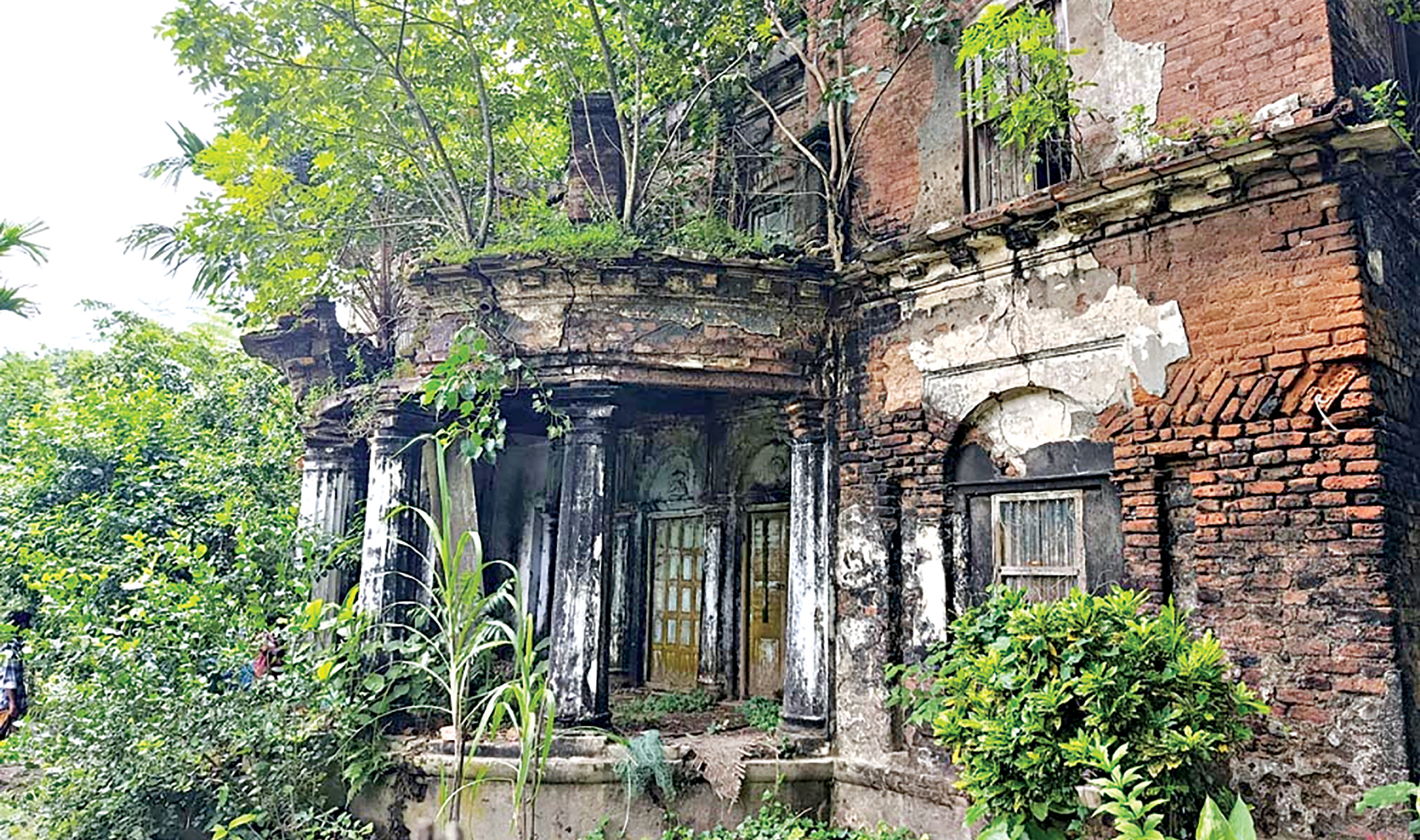 pabna1.jpg
