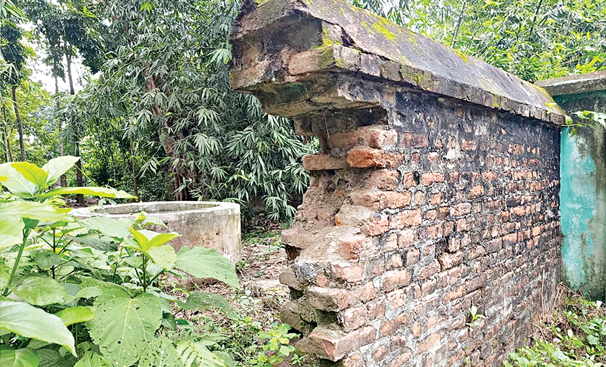 pabna3.jpg