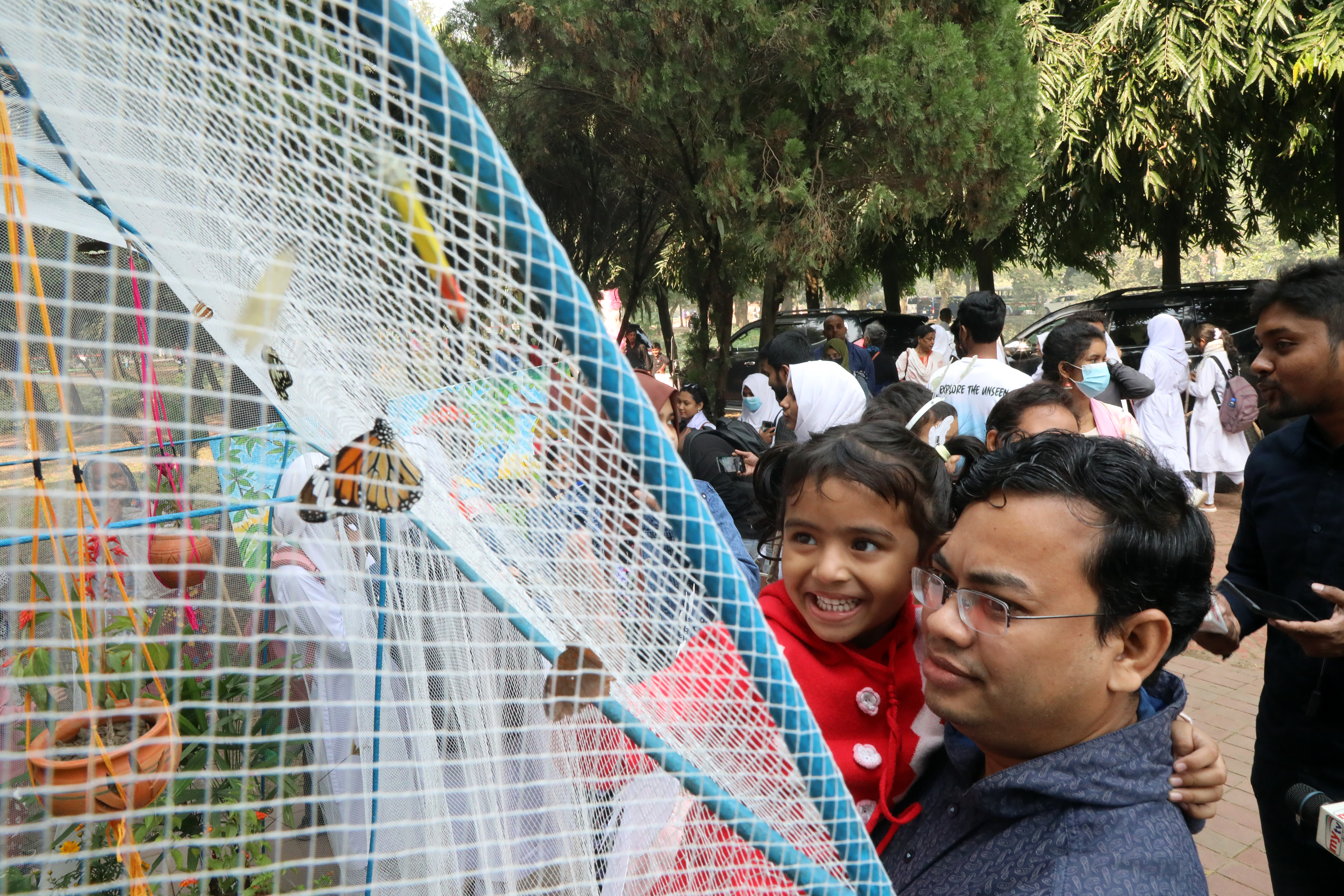 butterfly fair_1.jpg
