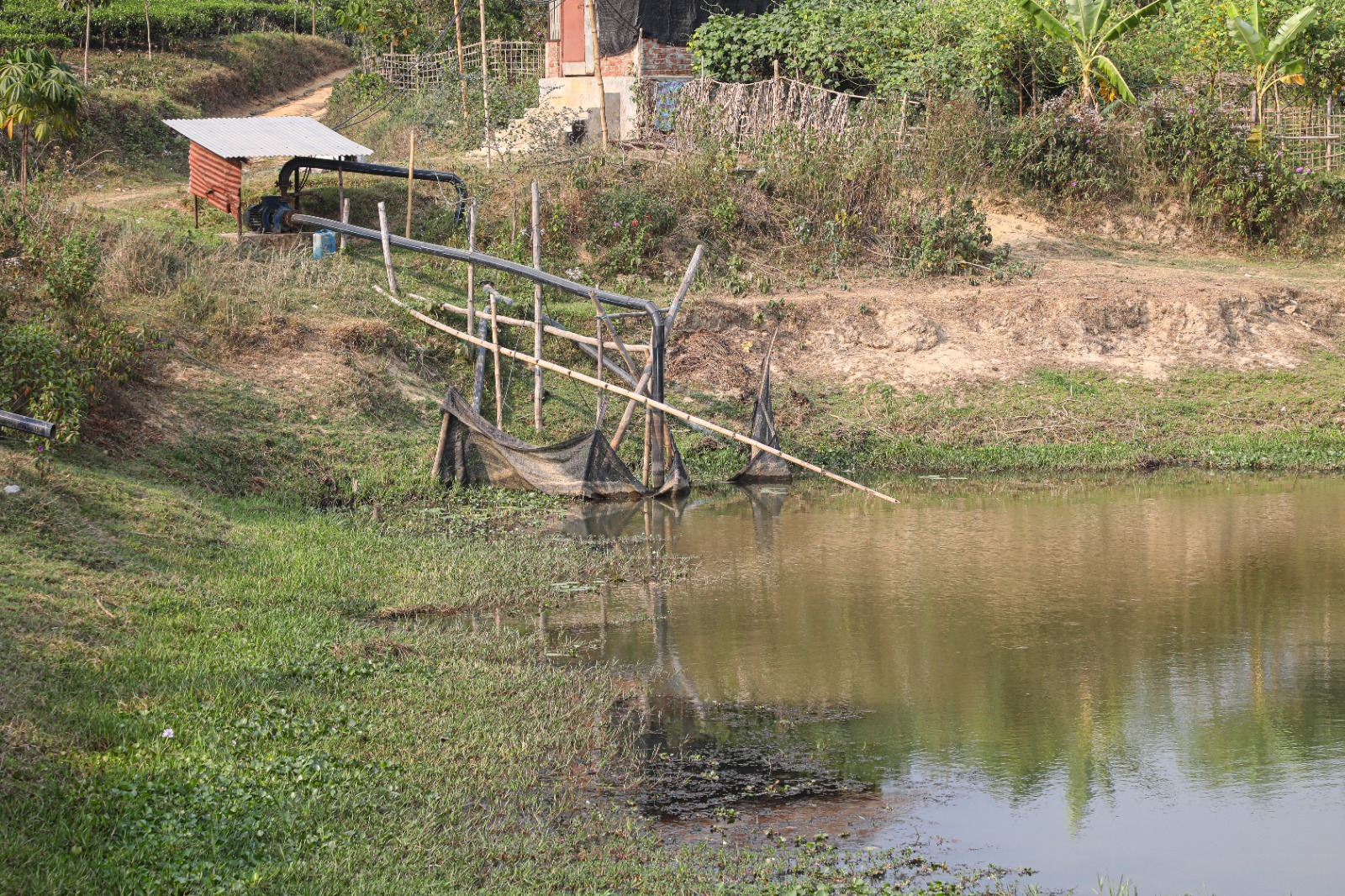 Farmers cry out for water_6dd6.jpg