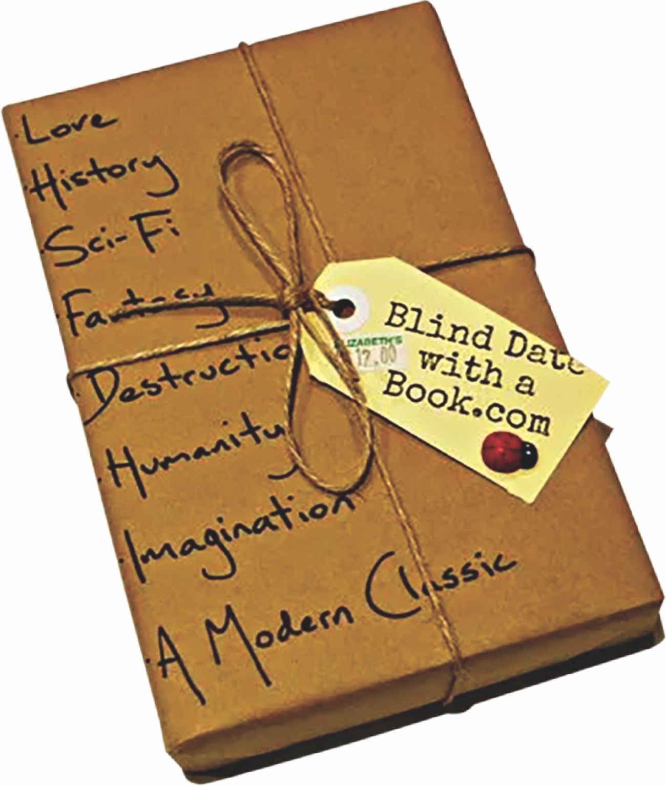 100_accurate_book_descriptions