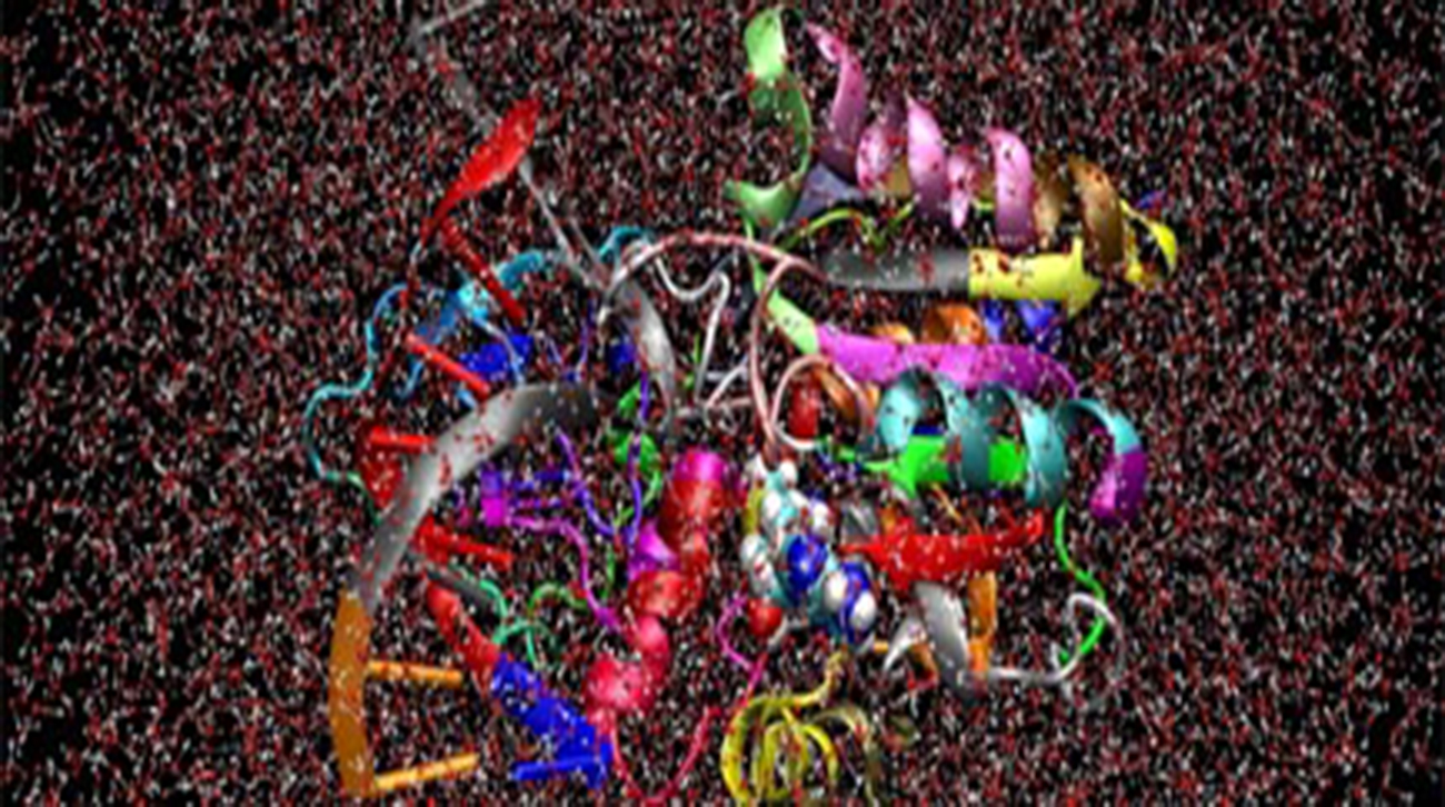 2-theory-of-life-new.jpg