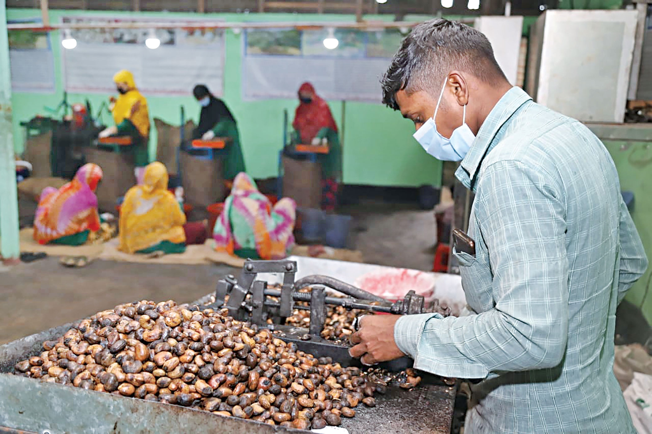 cashew-nuts-3.jpg