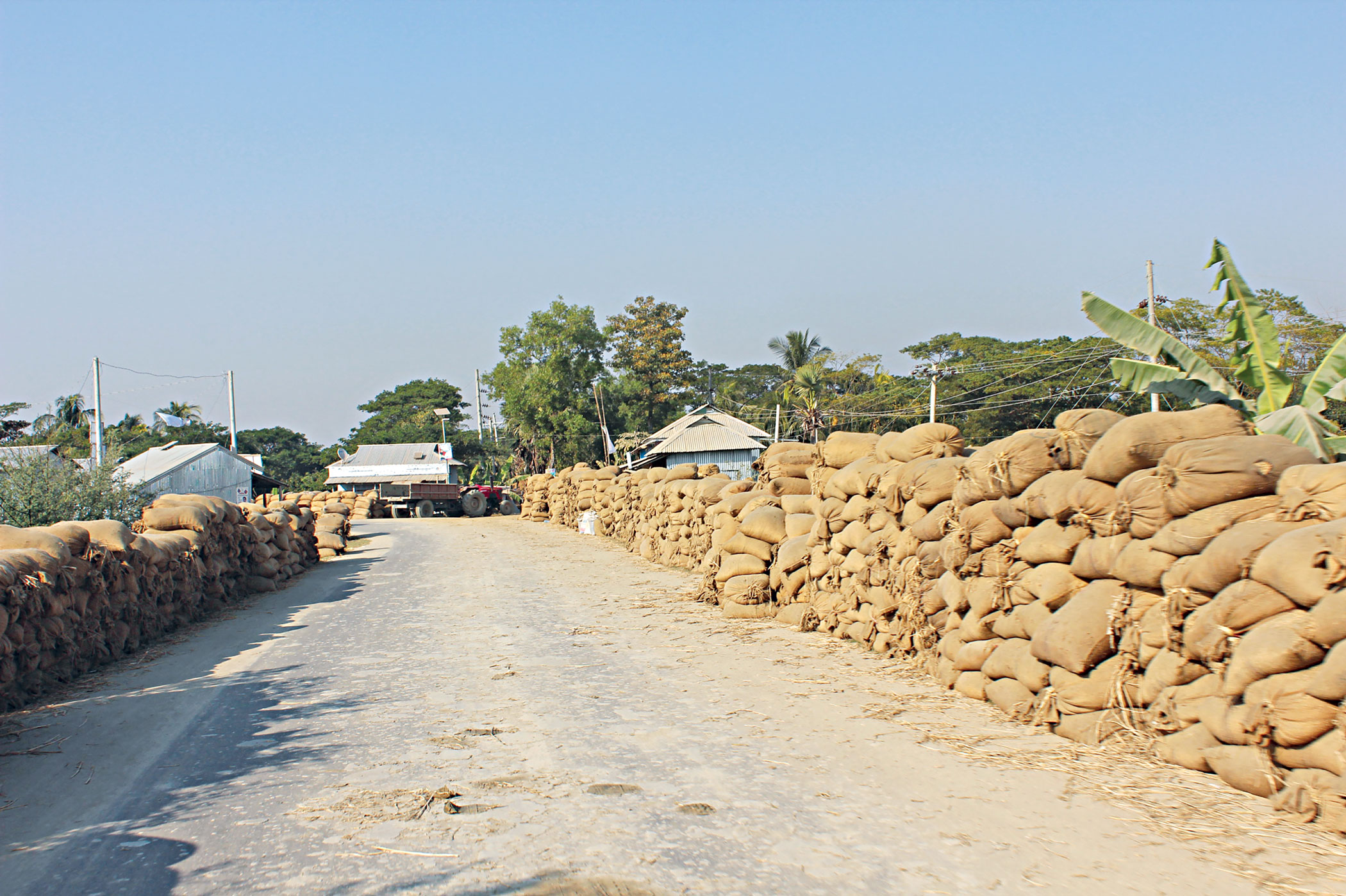 dhankhali-market-2.jpg