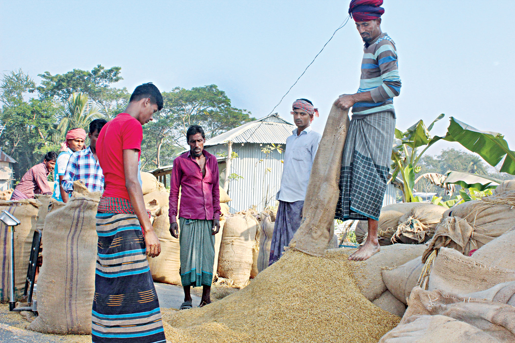 dhankhali-market-3.jpg