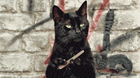 200w_s.gif
