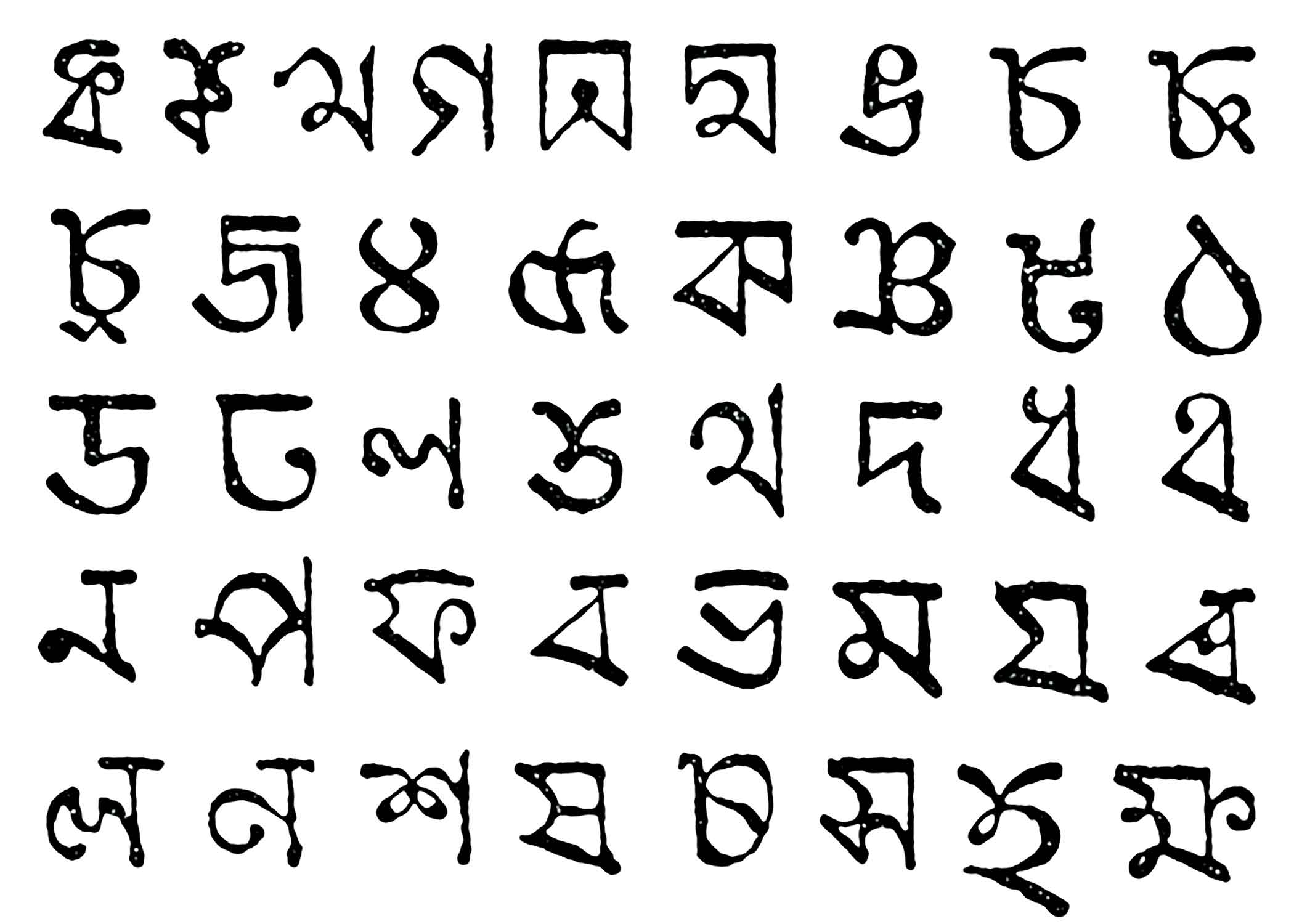 language5.jpg