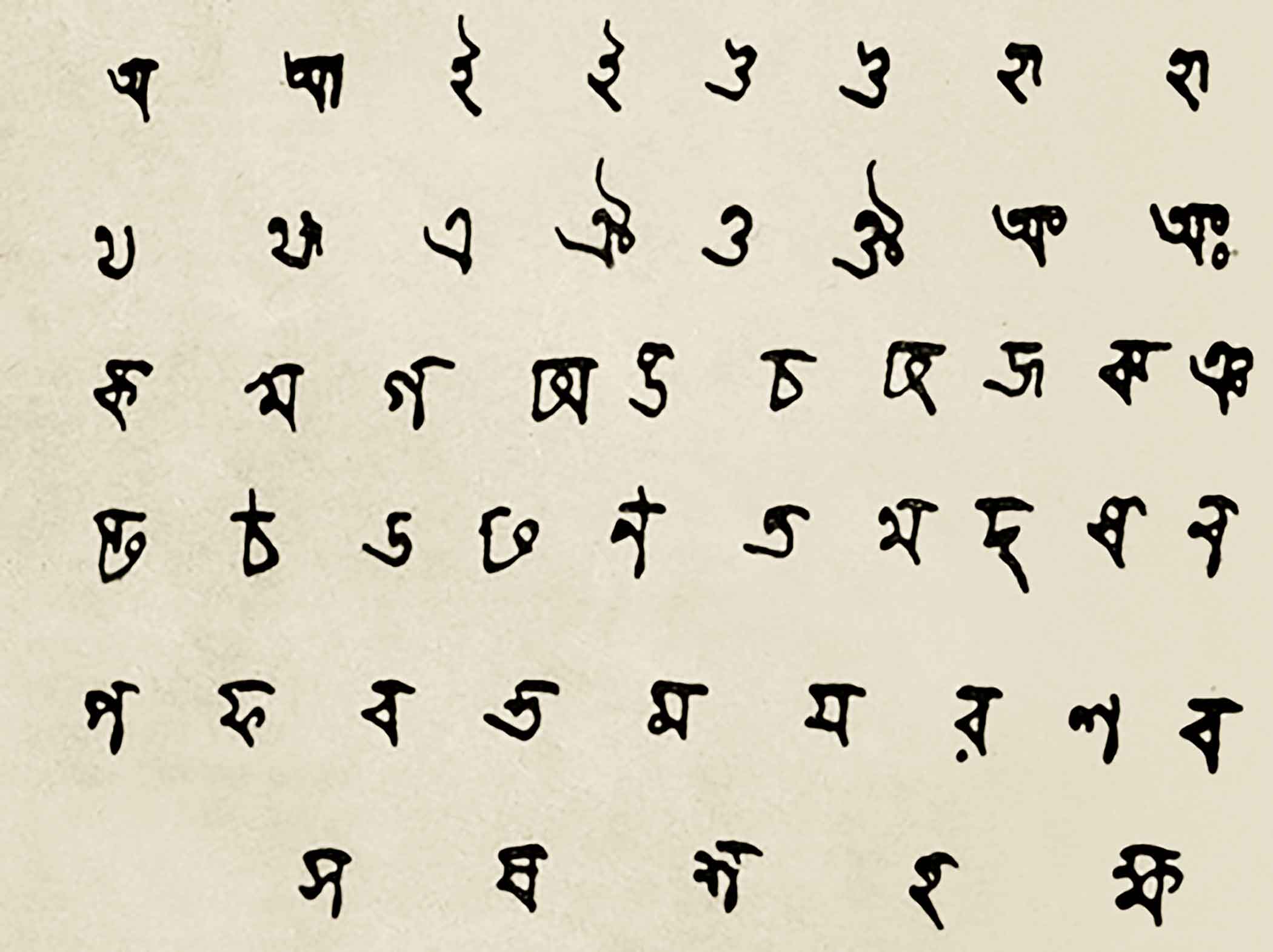 language6.jpg