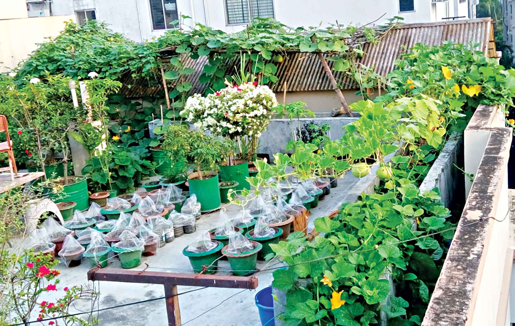 rooftop1.jpg