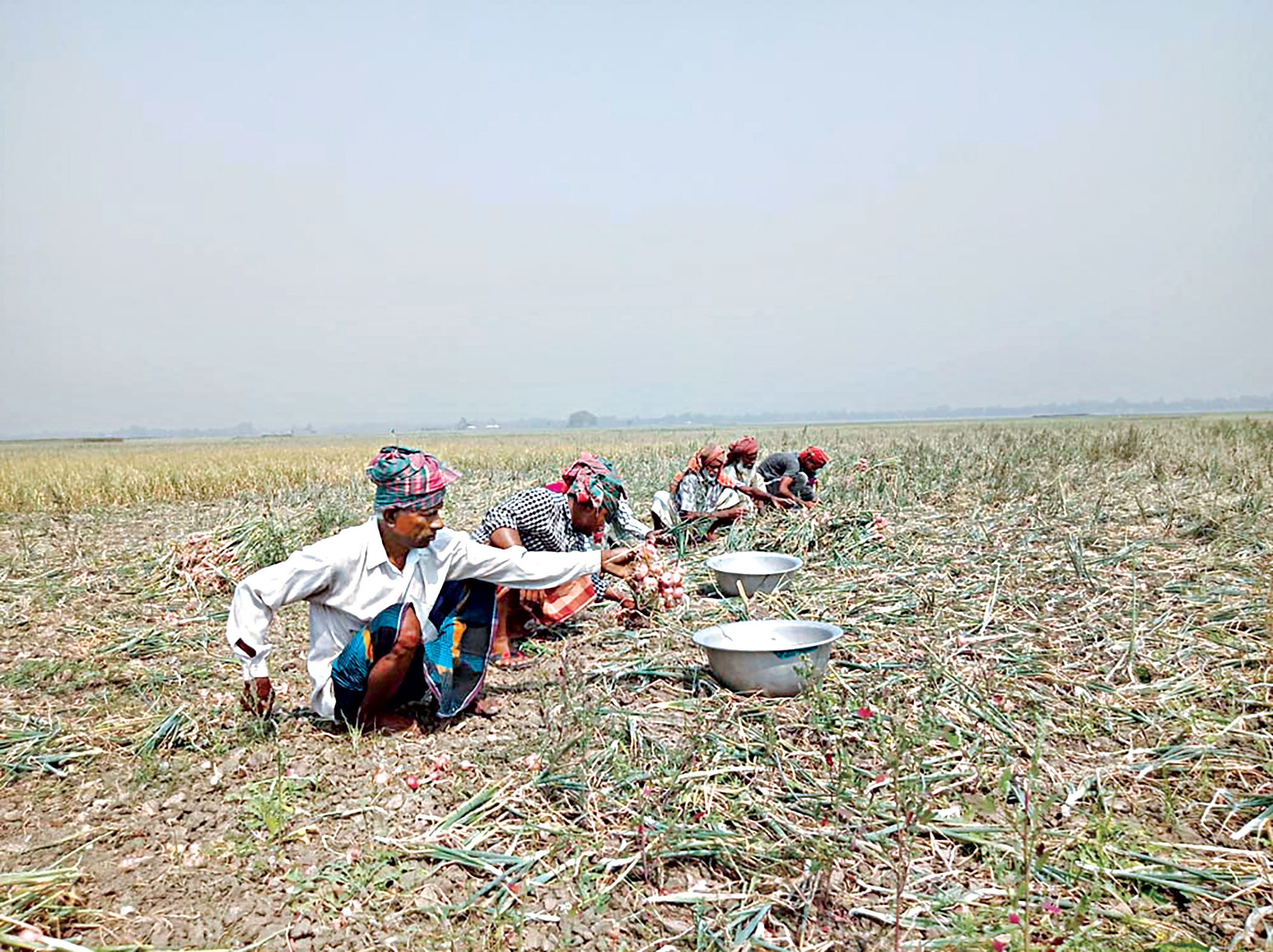 farmers-in-pabna-2.jpg
