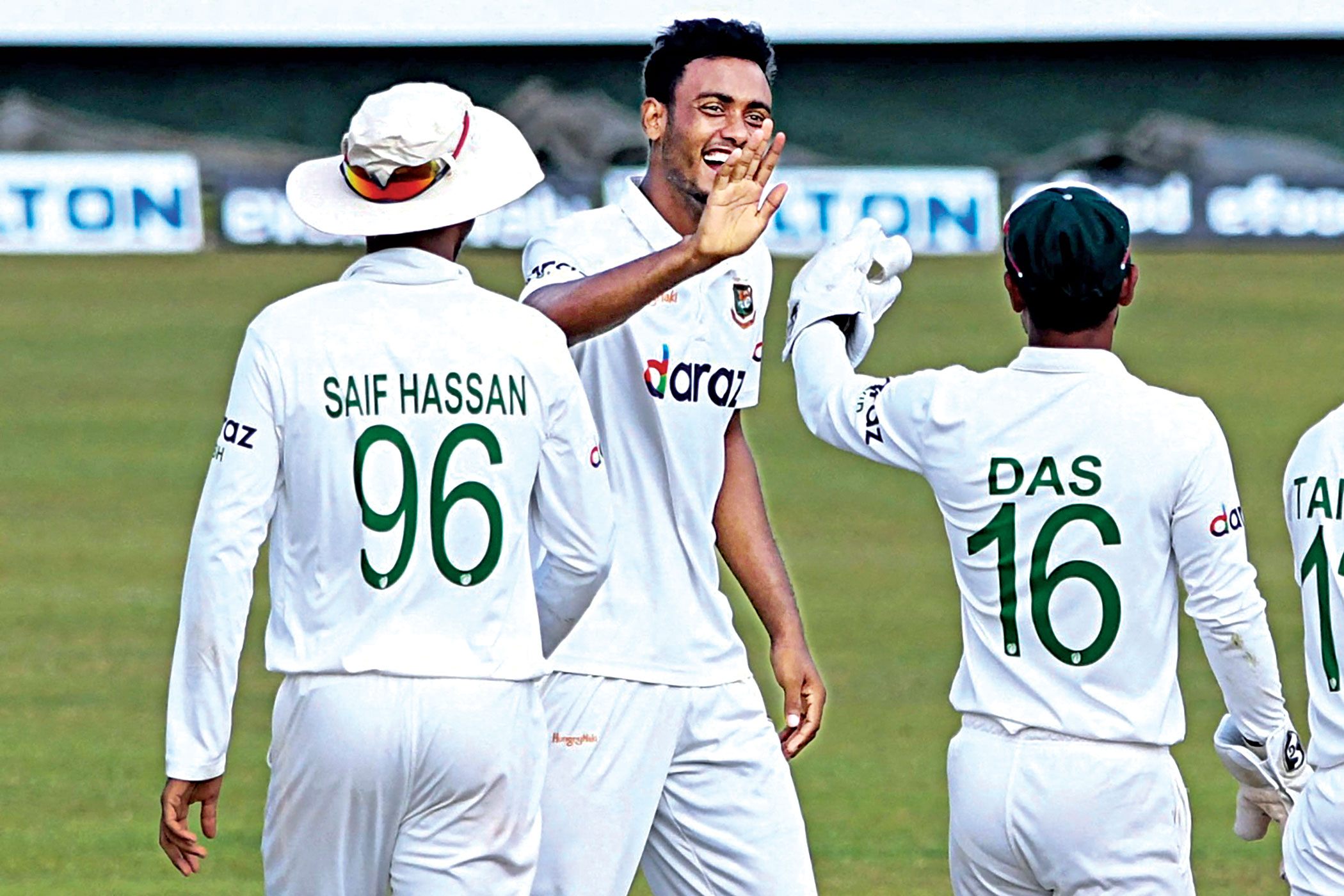 cricket-2.jpg