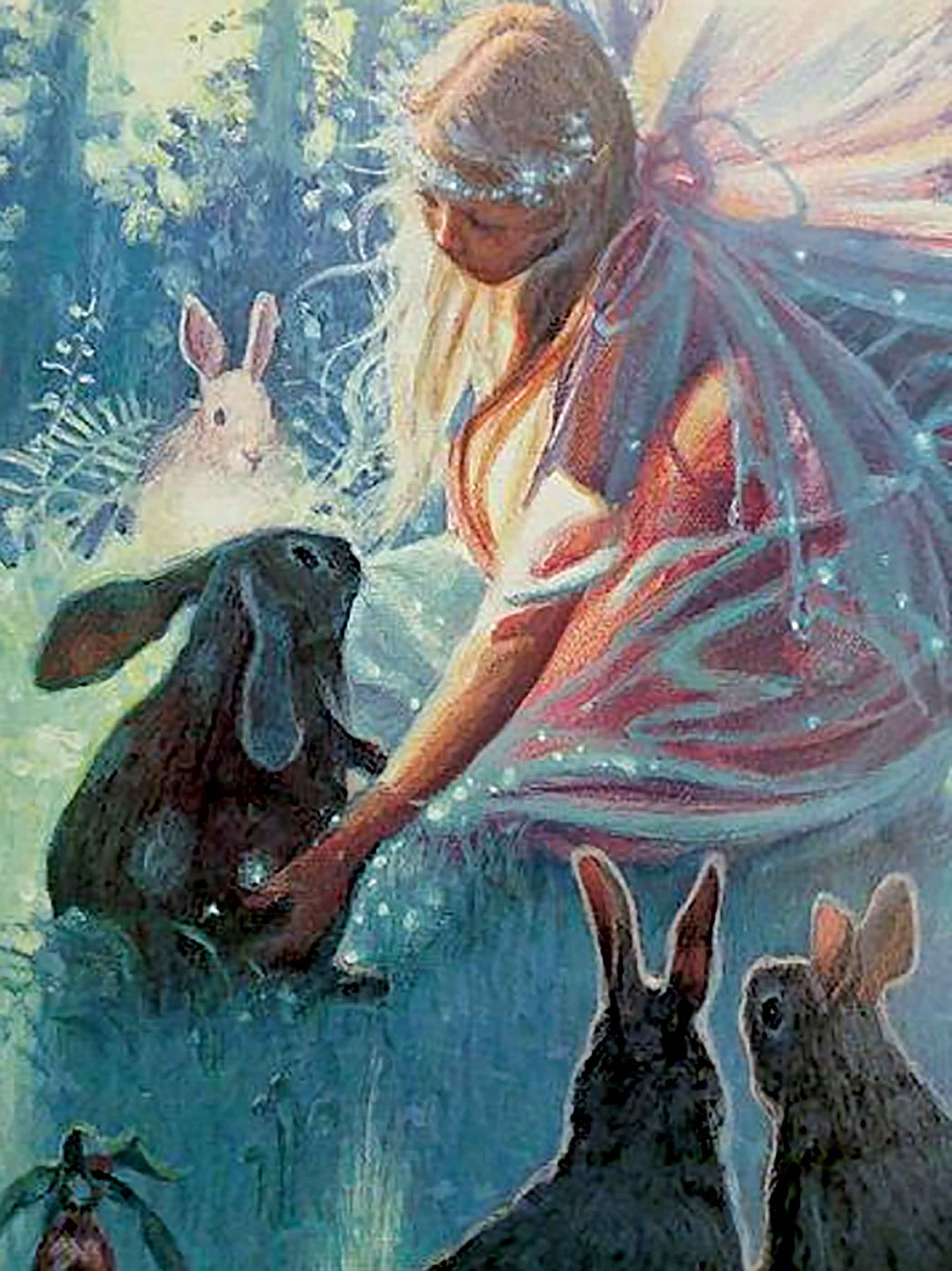 rabbit1.jpg