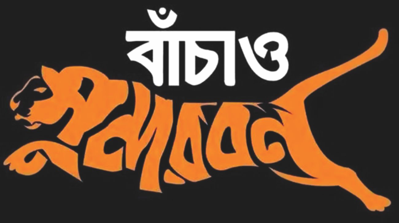 sundarban1.jpg
