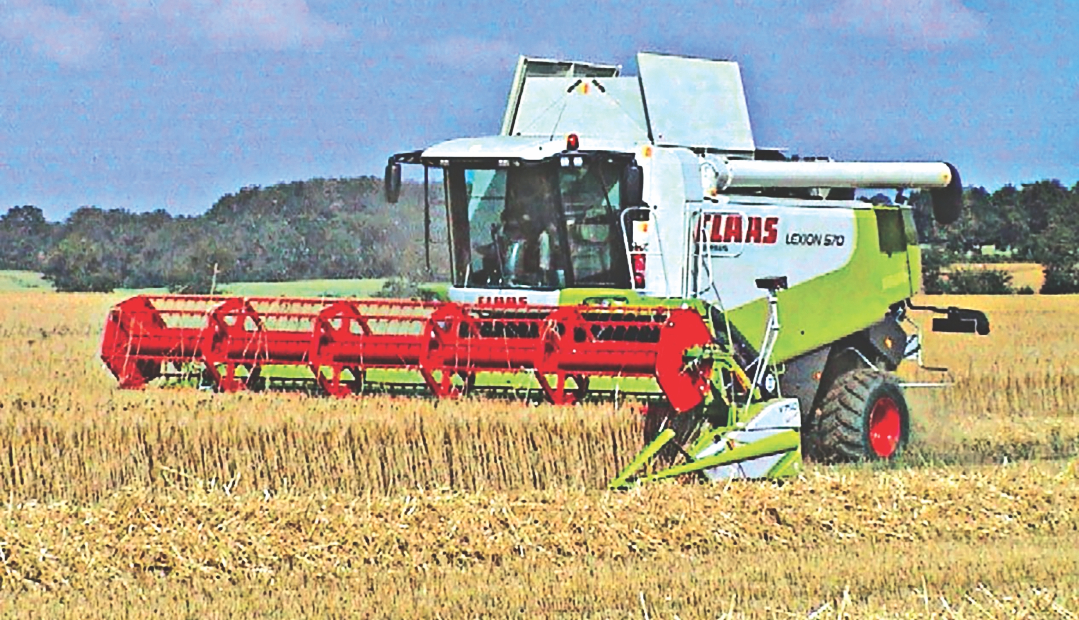 agriculture4.jpg