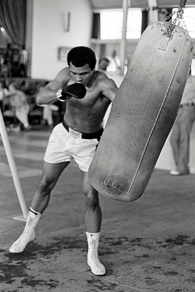 ALI-5-fights-2-web.jpg