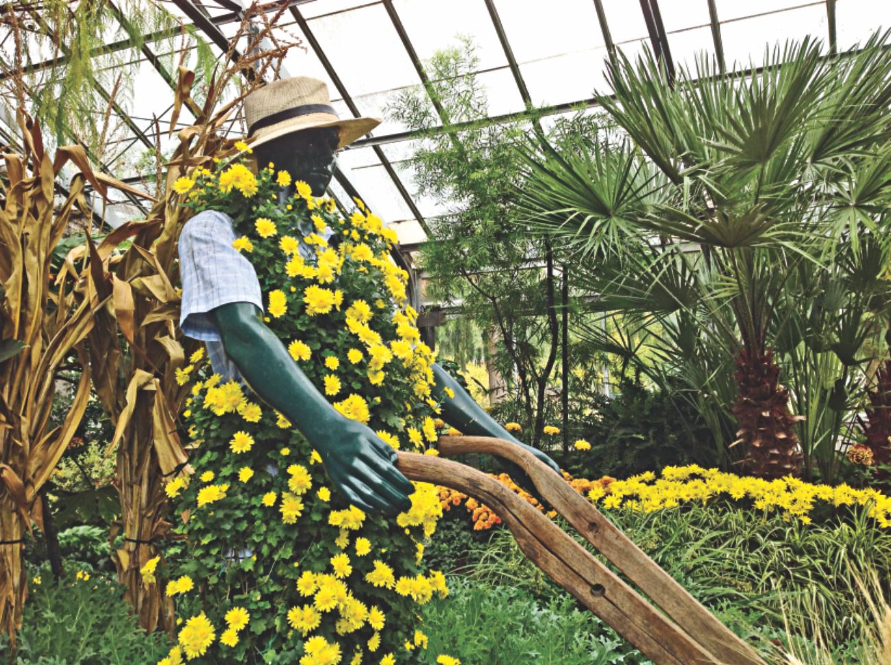 Allan Garden Conservatory