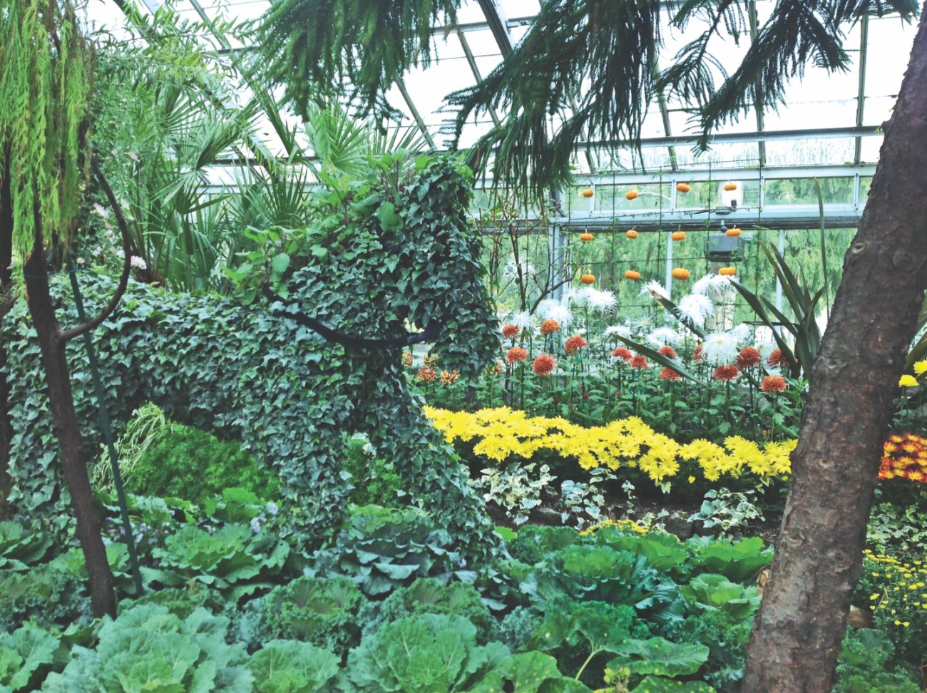 Allan Garden Conservatory