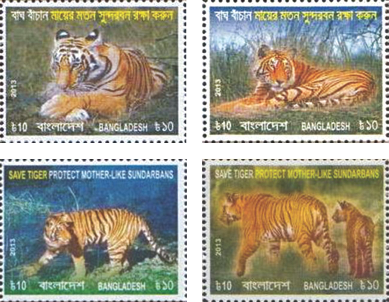 An Ode to the Sundarbans