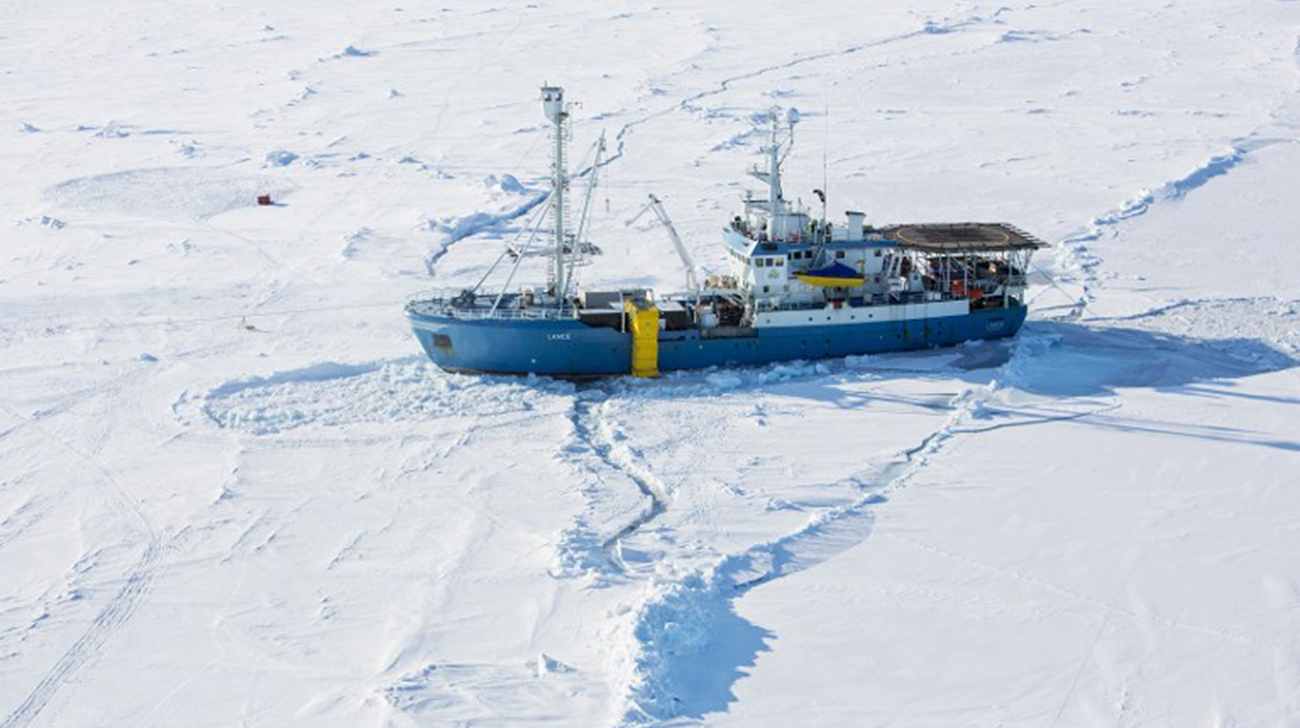 Arctic.jpg
