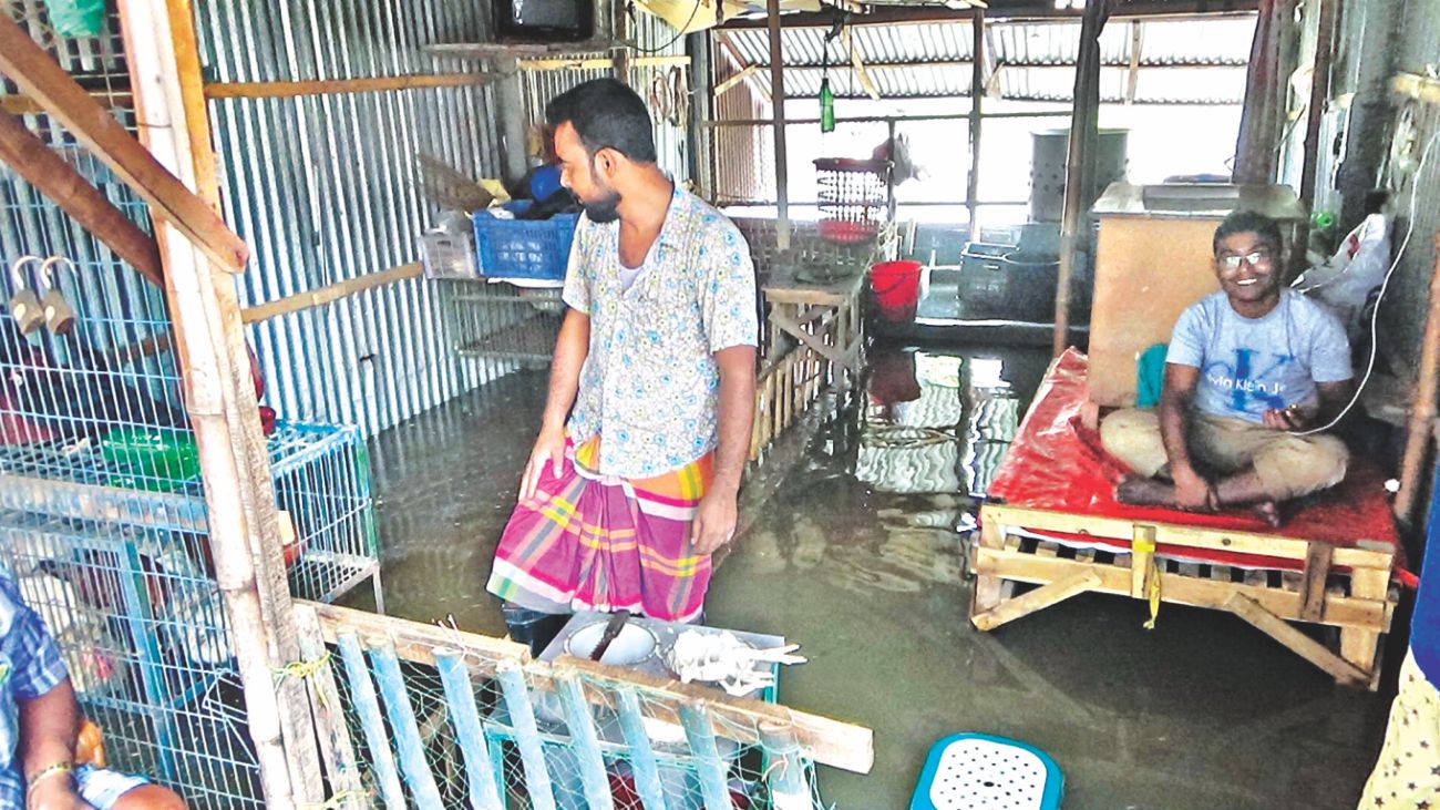 ashulia_agony_2.jpg
