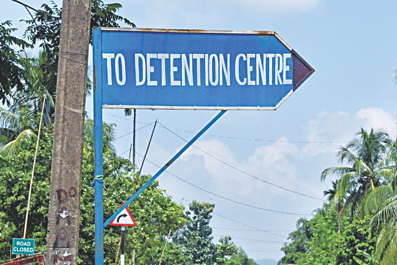 assam_2.jpg