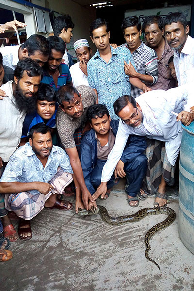 Bagerhat Python 1.jpg