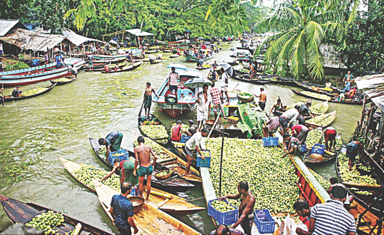 A floating guava market at Vimruli in Jhalakathi district 