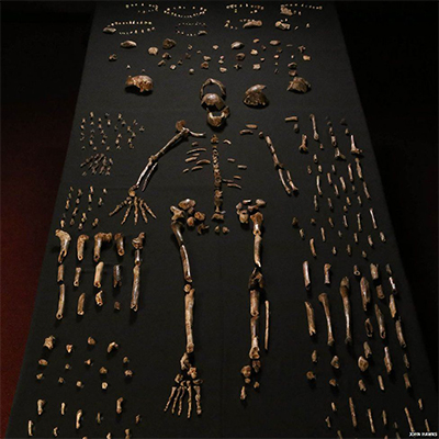 bones2.jpg
