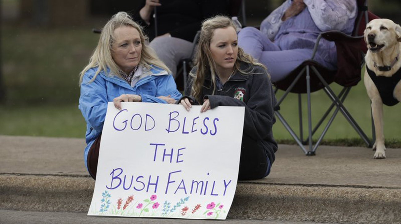 bush_1.jpg