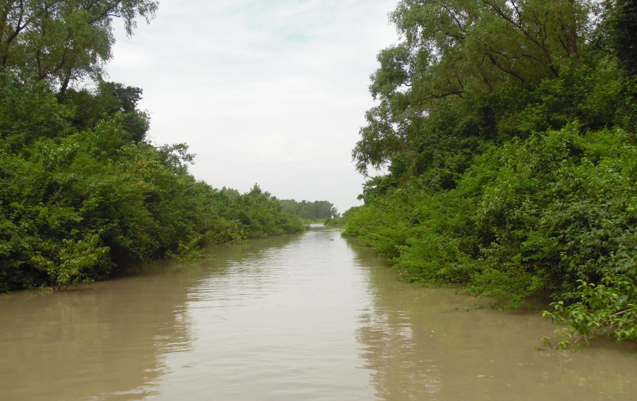 canal.jpg