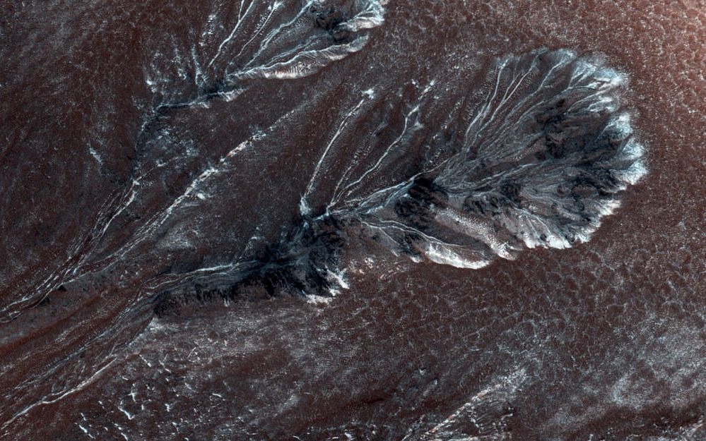 carbon.jpg