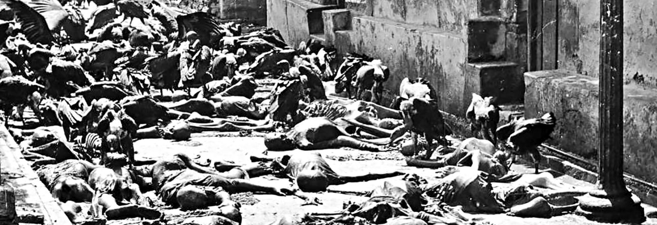 carrion_birds_feast_on_victims_of_bloody_communal_riot.jpg