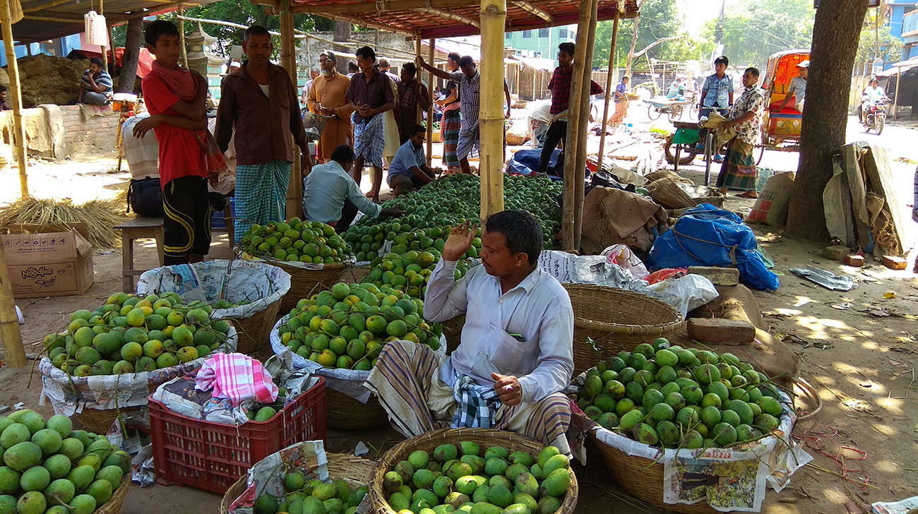 chapainawabganj_mango.jpg
