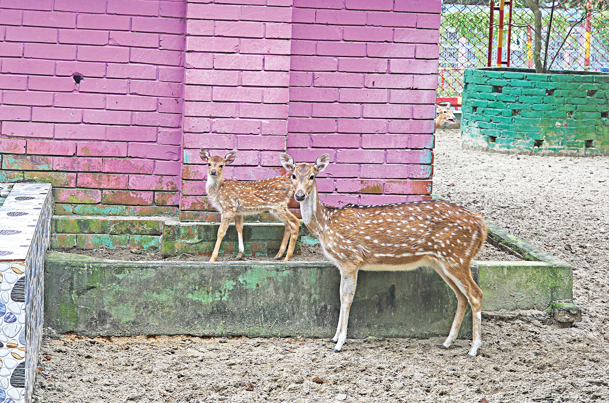 chattogram-zoo-3.jpg