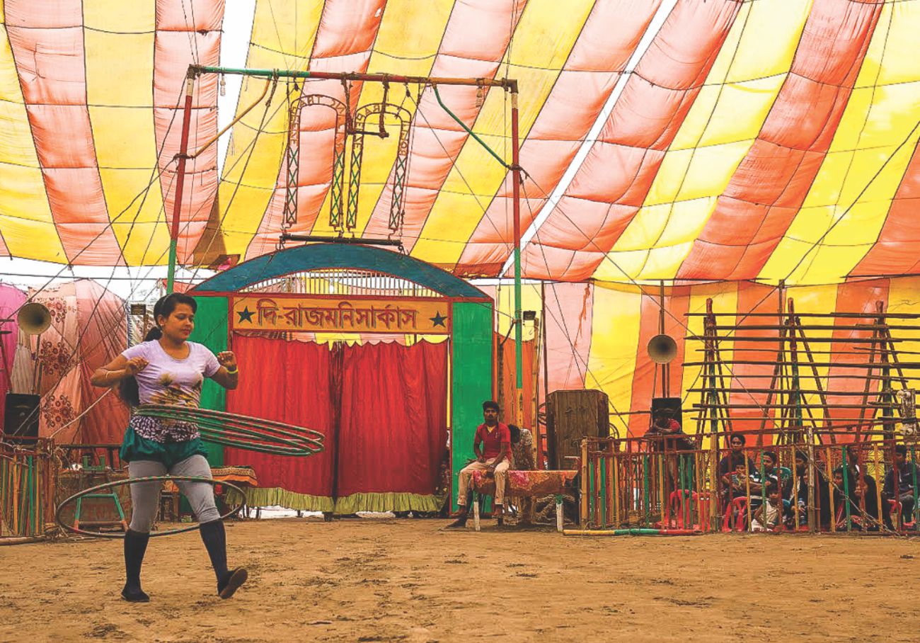 circus3.jpg